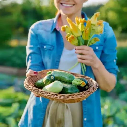 راهنمای مرجع برای کاشت کدو