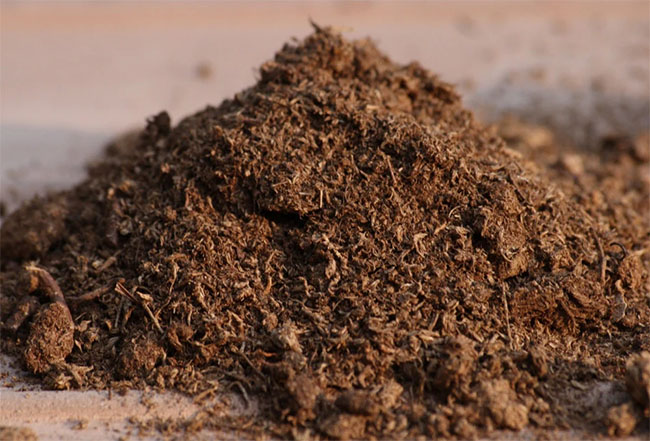 پیت ماس  Peat Moss