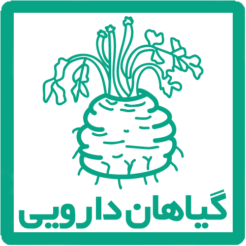 بذر گیاهان دارویی