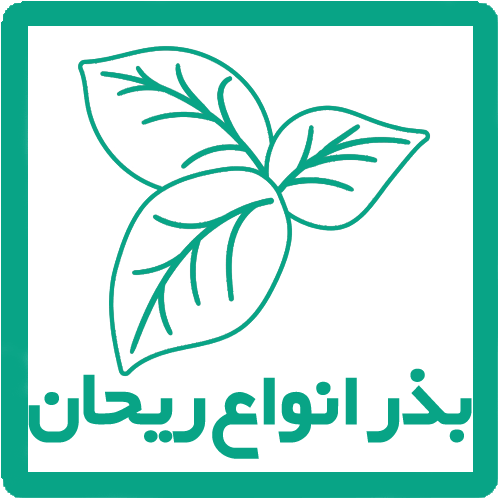 بذر ریحان