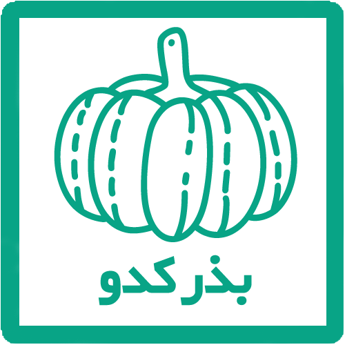 بذر کدو