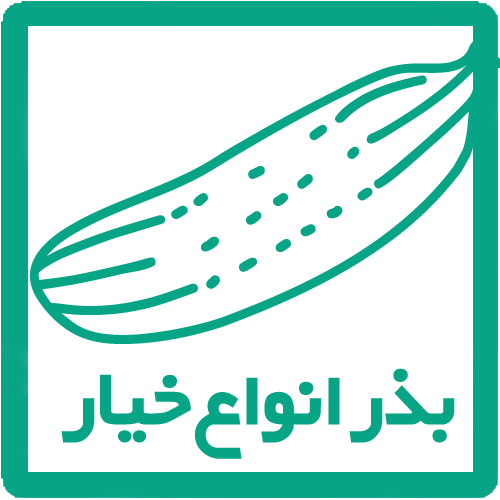 بذر خیار